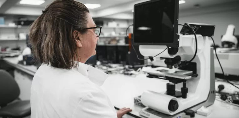 Person looking at the screen of a digital microscope