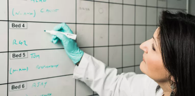 A person wearing a white coat and gloves writing on a whiteboard that says 'bed 2, bed 3, bed 4' on it