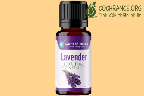 Tinh dầu hoa oải hương Lavender