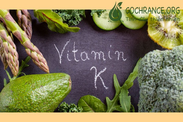 Vitamin K đóng vai trò quan trọng đối với sức khỏe con người, nhất là đối với xương và tim.