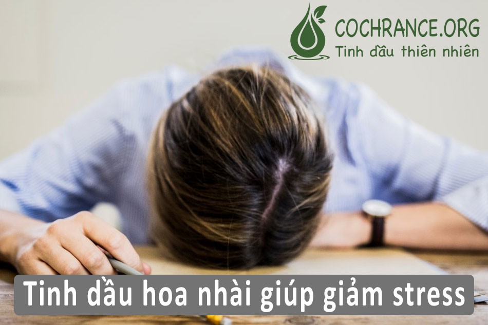 Tinh dầu hoa nhài có tác dụng gì?